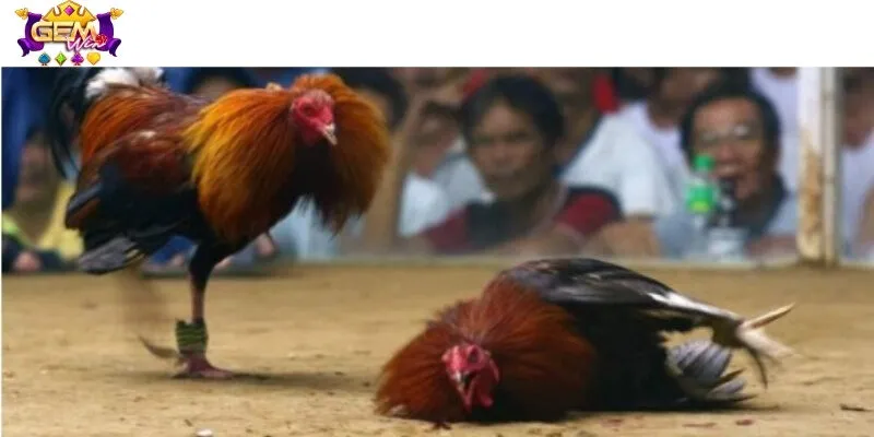 Bí kíp nâng cao cơ hội mang về tiền tỷ