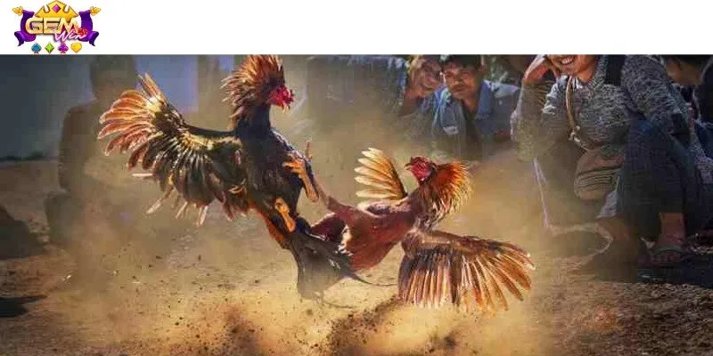 Nắm vững các mẹo chơi đơn giản